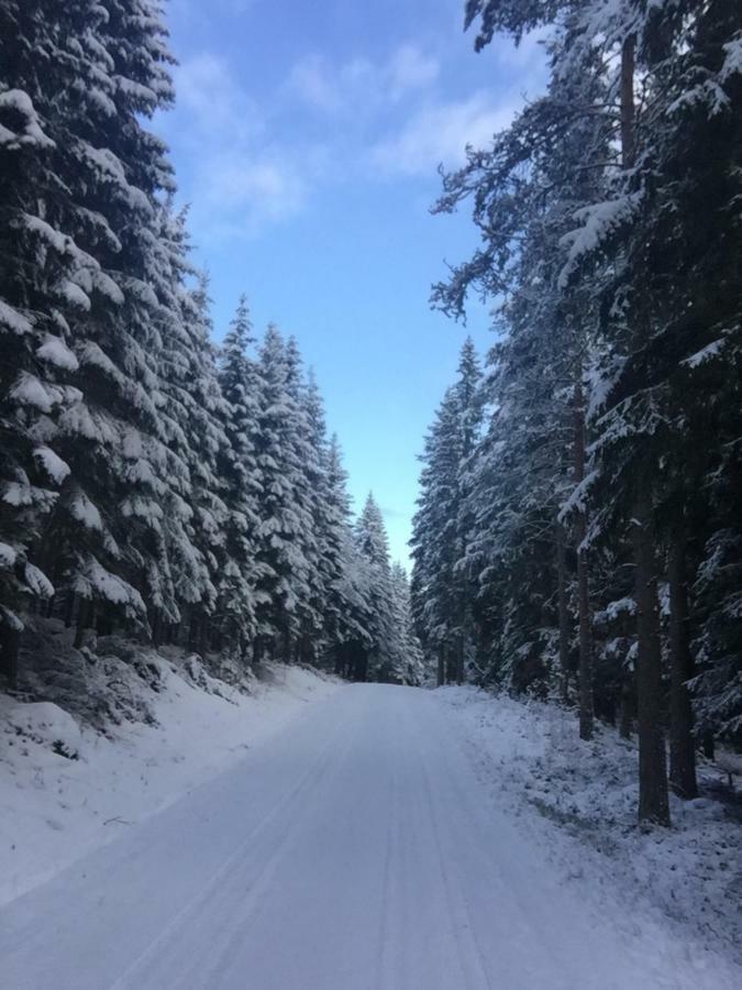Ferienhaus Am Mycklaflon Eksjö エクステリア 写真